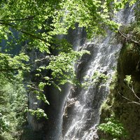 flora e fauna dolomitica presso il rifugio Brentei