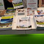 Convention fiere e workshop