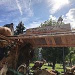 Spettacoli Gran Tobia - Hotel Il Caminetto
