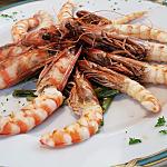 FOTO UHC - Gourmet ed Enogastronomia Hotels 4 Stelle - Hotel Rubino, hotel Diamant, hotel Soreghes e hotel Dolomiti