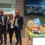 Convention fiere e workshop