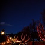 natale in val di fiemme - ovest calici