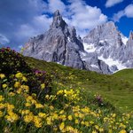 4 PARCO PANAVEGGIO PALE SAN MARTINO copia