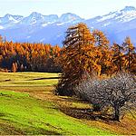 Panoramica sul Lagorai