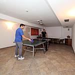 Ping- Pong