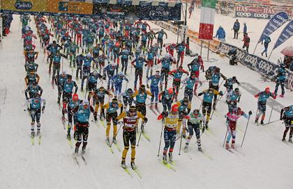 MARCIALONGA, VICHINGHI AL CALOR BIANCO